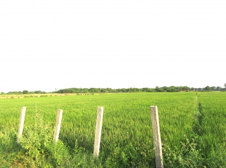 4) Li Id 222 - Pic 5.JPG